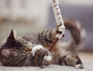 Click Here To View This Image