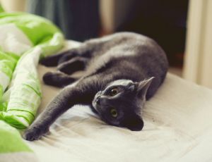 Click Here To View This Image